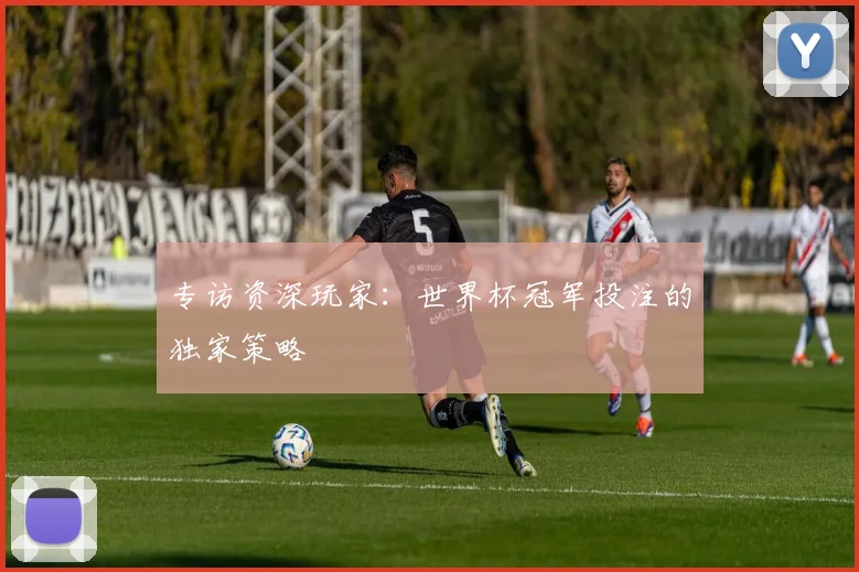 专访资深玩家：世界杯冠军投注的独家策略